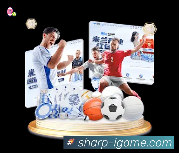 体育平台欢迎图